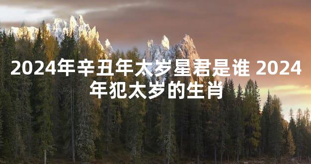 2024年辛丑年太岁星君是谁 2024年犯太岁的生肖